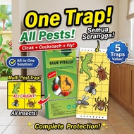 No Escape for Lizards ML Lizard trap Lizard killer Lizard trap glue Cicak repellent Gecko repellent