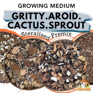 Plant Talks Gritty Soil Aroid Mix Sprout and Cactus Premix for All Plants Premium Premix Series