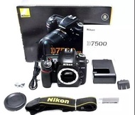 Nikon D7500 數位單眼相機