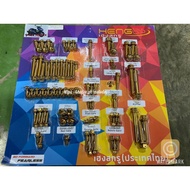 Heng Complete All In Gold Bolts Set Aerox