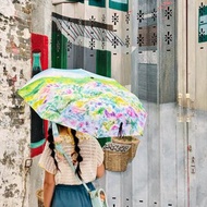 陽明山繡球花 晴雨傘 插畫 折疊傘 雨傘 Mstandforc