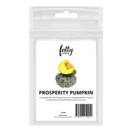 Gardening Garden Seeds Fatty Seeds – Prosperity Pumpkin