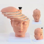 Ready Stock 12 Parts Human Brain Horizontal Horizontal Faceted Model Head Horizontal Faceted 3D Deta