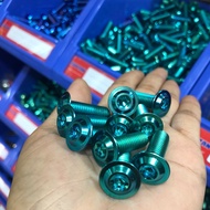 Emerald GR5 front disc screw