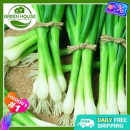 Green House® - Spring Onion Seeds for Planting Vegetable Plants (30 Seed) incl. Planting Instruction
