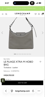 Longchamp Hobo Bag