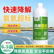 (Hot Sale)Quick-Drop Ammonia Nitrogen Subpin Salt Nitrified Bacteria Fish Pond for Aquaculture Purif