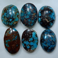 PERSIAN TURQUOISEnatural (D13)