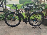 Sepeda Polygon E-Bike Path E5 Size M Gentleman (Bekas Second)