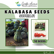 SULIT PACK! SOPHIA F1 SEEDS (10 SEEDS) - FOR PLANTING/KALABASA VARIETY