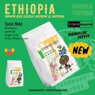 Tanmonkey SOE เมล็ดกาแฟเอธิโอเปีย Ethiopia Guji Jigesa Lionking G1