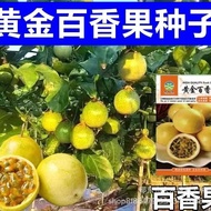 Golden Passion Fruit Seed Golden Spring Autumn Balcony Potted Family Golden Egg Fruit Passion Fruit 