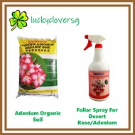 Adenium - Brilliant Golden Adenium Organic Soil, Andgro Foliar Spray For Desert Rose / Adenium