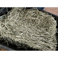 Timothy Hay Timothy Kering
