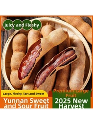 Fresh Tamarind 5 Pounds