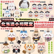 預訂 Chiikawa 7月18號新品 北海道 小樽 復古 Retro 懷舊 洋服 雪之妖精 微醺 宿醉 飲酒 奧德 哥布林 監獄 囚犯 盲抽 Figure Pocket 口袋 郊遊 江戶 野餐 露營