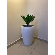 FRP FIBER POT 17029 Pasu Tempayan & Fiber indoor & outdoor garden