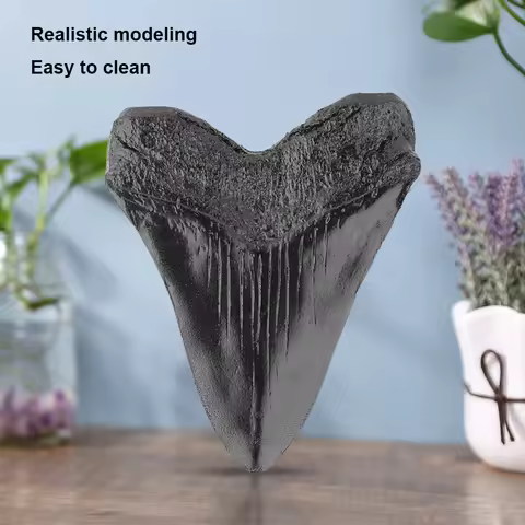 Black Shark Teeth Fossil 5inch Giant Megalodon Tooth Home Decoration Shark Tooth Replica Marine Bolo