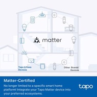 TP-Link Tapo P110 迷你 Wi-Fi 智慧插座（P110/P110M）