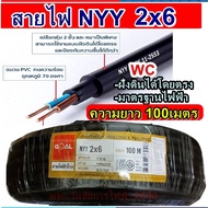 GOAL สายไฟฝั่งดิน ฝังดินโดยตรง NYY 2x6 ยาว 100เมตร เบอร์ 6 มาตรฐานการไฟฟ้า ป้องกันความชี่น สายไฟกันน