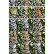 Kebaya BROS / Beautiful BROS / Uniform BROS