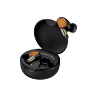 JVC - HA-FW5100T (日落棕色) WOOD masterpiece 木單元無線耳機 [香港行貨 | 1年保養]