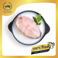 [Sea Fresh] Daging Ikan Kerapu | Grouper Fish Steak | Fresh Frozen Seafood