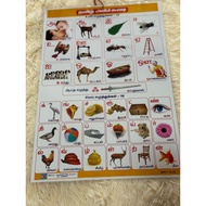Tamil Chart for Kids Early Learning Education Wall Picture Chart | alphabet