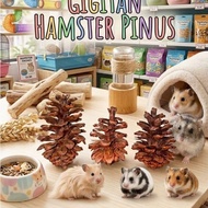 Hamster, rabbit, strawberry pine seed bite toy