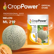 (100 SEEDS) Biji Benih Rock Melon Glory 荣耀 ML219 CROP POWER F1 HYBRID  Rock Melon Seed  蜜瓜种子 ML 219