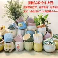 Succulent Flower Pot Ceramic Large Breathable Creative Indoor Succulent Small Flower Pot Wholesale Large Diameter