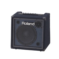 Roland Roland KC-80 Keyboard Amplifier