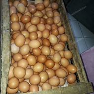 Telur telor 1 peti 15kg