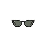 [Rayban] Sunglasses RB2201 Men's 901/58 Black / Green Polar Lens 54