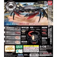 [現貨] Bandai 扭旦/ 扭蛋 蟹