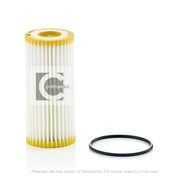 Mann Oil Filter VW/Gf,Passat,Scirocco,Porsche/Macan(HU6002Z/6013Z)06l115562