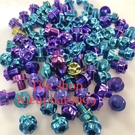 Gr5 salaya model glass screw
