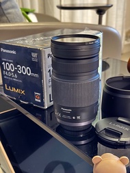 Panasonic Lumix G Vario 100-300mm F4.0-5.6 MEGA OIS M43 Olympus 通用
