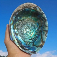 2.7-5.54 Inch Large Abalone Shell, Abalone Shell Incense Burner, Used For Burning Sage, Home Decorat