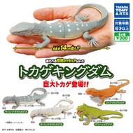 [御宅族] T-ARTS 代理 轉蛋 扭蛋 可動生物模型 巨大蜥蜴篇 全4種 現貨 草原巨蜥 鬃獅蜥 綠鬣蜥