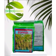 Dijual Benih bibit padi hibrida agrosid Supadi 89 1kg Murah