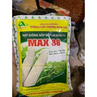 HẠT GIỐNG NGÔ NẾP LAI F1 MAX88 GÓI 300G - TỶ LỆ NẢY MẦM ĐỒNG ĐỀU CAO