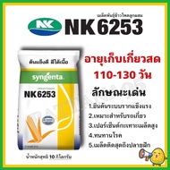เมล็ดข้าวโพดNK 6253 น้ำหนัก 10 กิโลกรัม