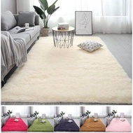 Floor carpet covering the living room floor, photography size 1m6x2m