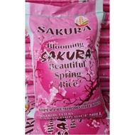 sakura rice 25kg Price & Voucher Aug 2026 | BigGo Philippines