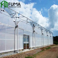 Green House Roofing Material PE Cover / UV Treated Plastic Film Greenhouse