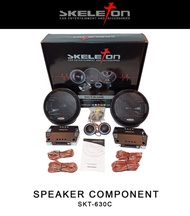 Speaker Split 2way Skeleton