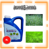 AGR Glyweed 13.6% Racun rumput mati akar  (Jenis serap) 4 Liter