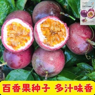 Passion Fruit Seeds Daquan Egg Fruit Sweet Fragrant Purple Passion Fruit Seeds Original Seeds Daquan