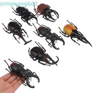 JERON Simulation Beetle Science Toy Teaching Aids Insect Toy Simulation Animals Fake Beetle Beetle F